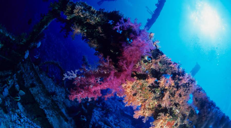 diving