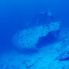 diving