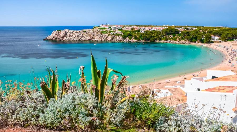 Bravo Smart Moon Dreams Marina Parc