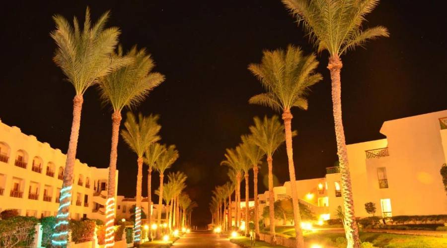 Cyrene Sharm & Island Resort 