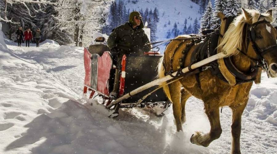 sulla neve