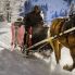 sulla neve