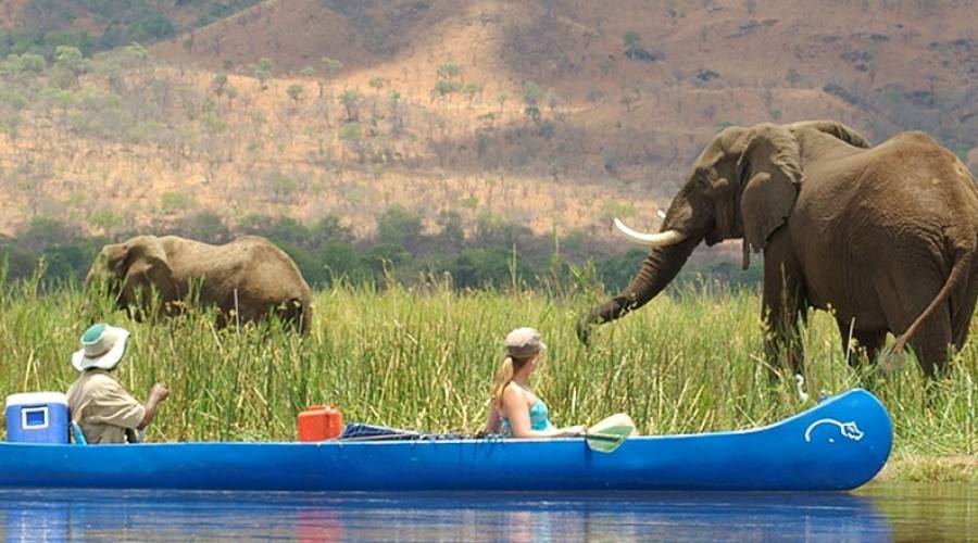 Safari in canoa lungo lo Zambesi River