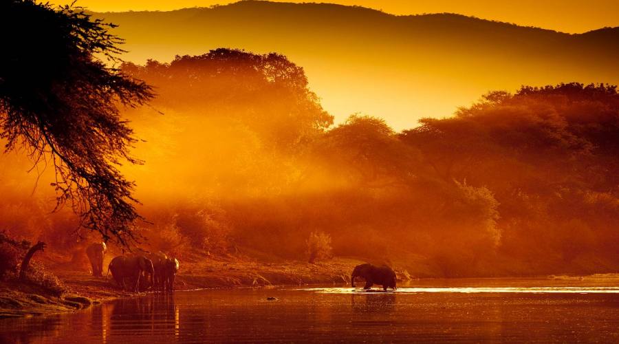Zambesi River al tramonto