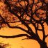 tramonto nel Kruger