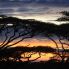 tramonto nel Serengeti