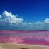 Escursioni: Laguna Rosada (Yucatan)