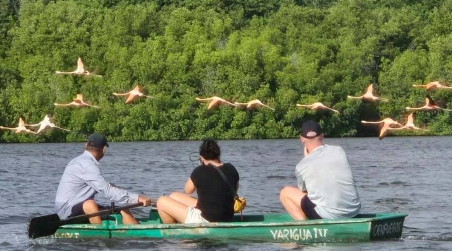 Laguna dei Fenicotteri