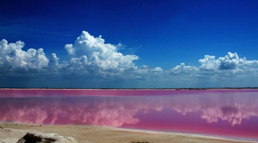 Laguna Rosada a Rio Lagartos