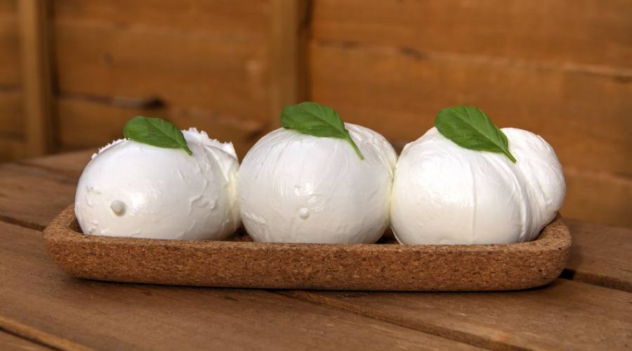 La Mozzarella Pugliese