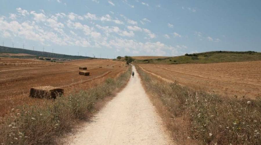 Cammino di Santiago