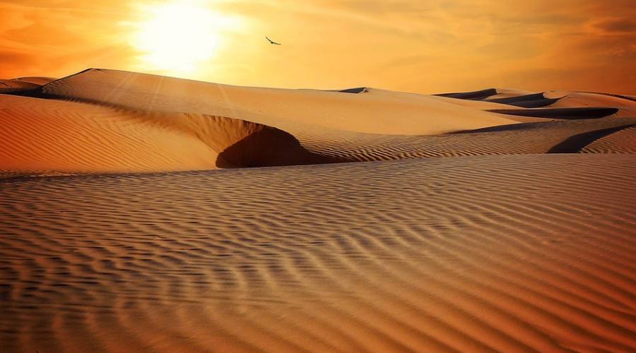 Il fascino del deserto