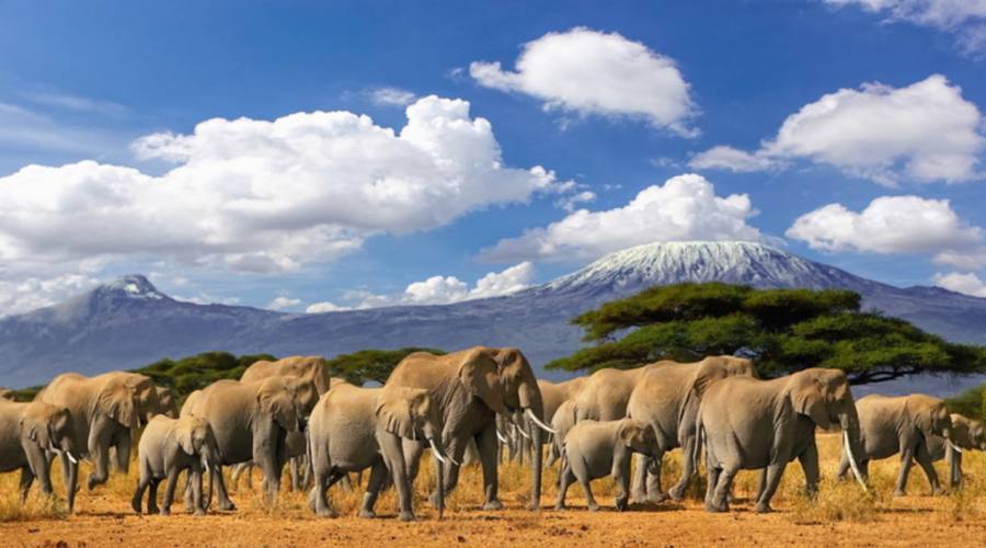Il Kilimanjaro