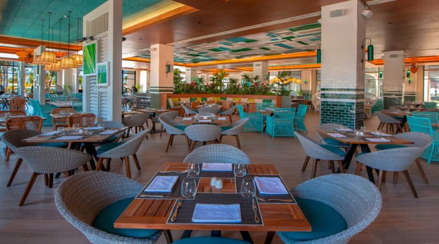 Dreams Dominicus