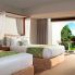 Dreams Dominicus
