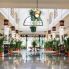 Riu Bambu Punta Cana