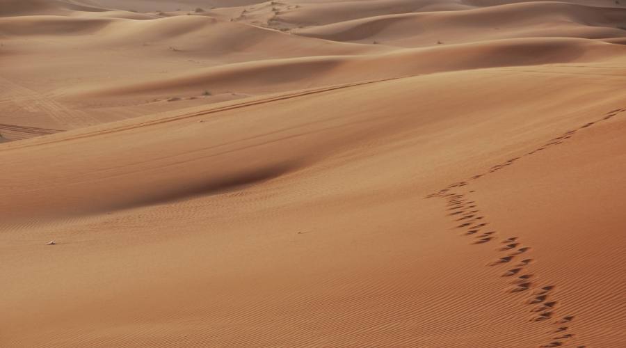 Dubai: passi nel deserto