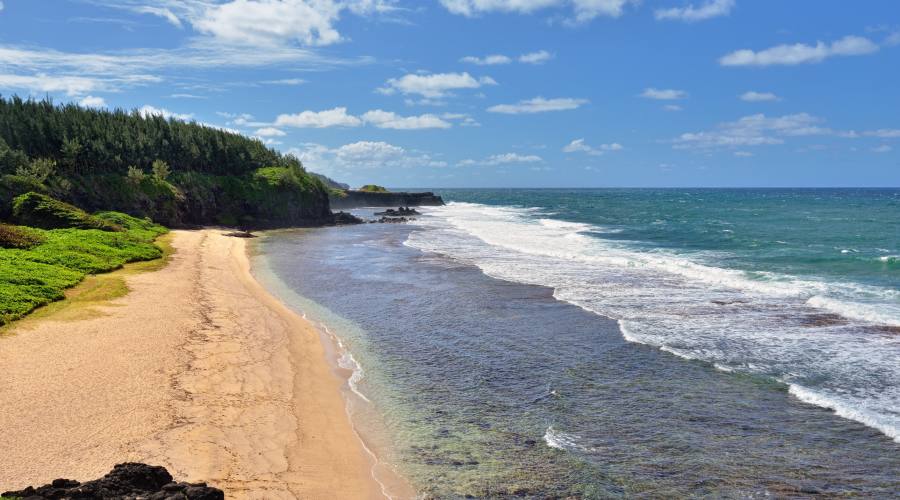 Mauritius: Le spiagge di Gris Gris