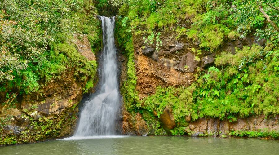 La valle di Chamouny