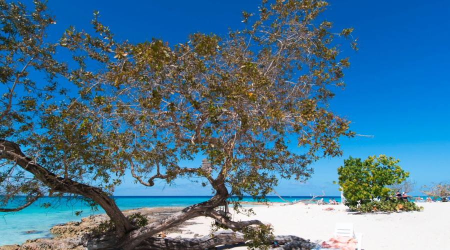 Playa Spiaggia del Resort 5 stelle Cuba