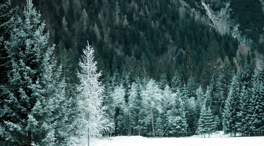 Paesaggio invernale