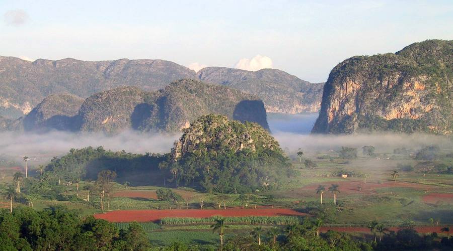 Vinales piantagioni di tabacco