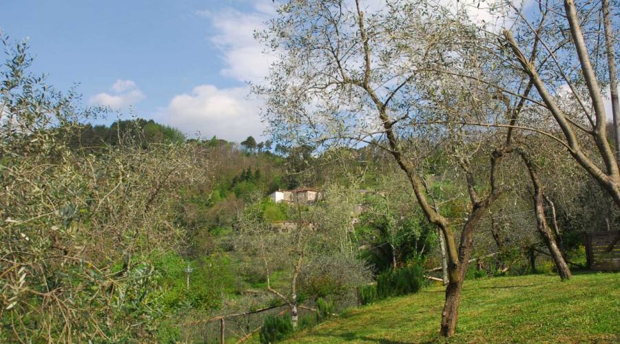 paesaggio