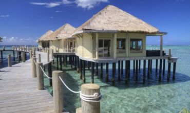 Self Drive: Tutto Samoa