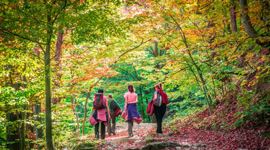 Autunno in Romania