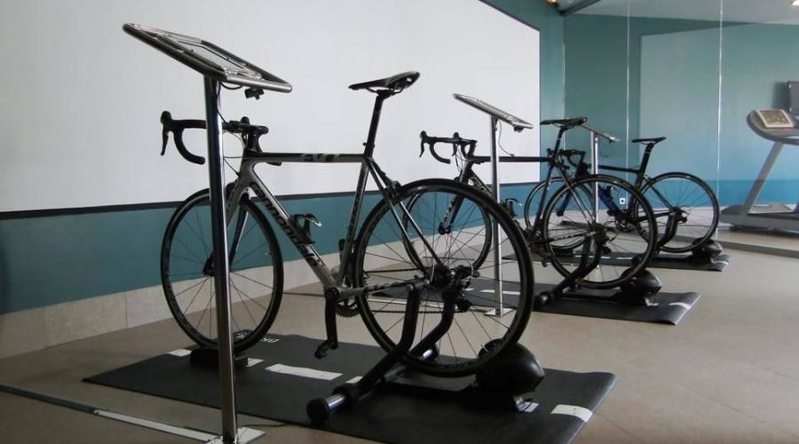 palestra
