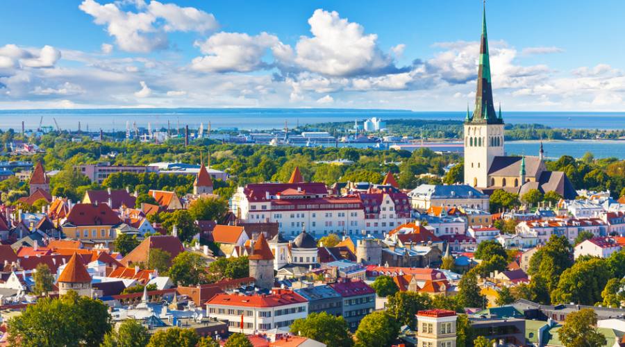 Estonia Tallin vista aerea della città vecchia