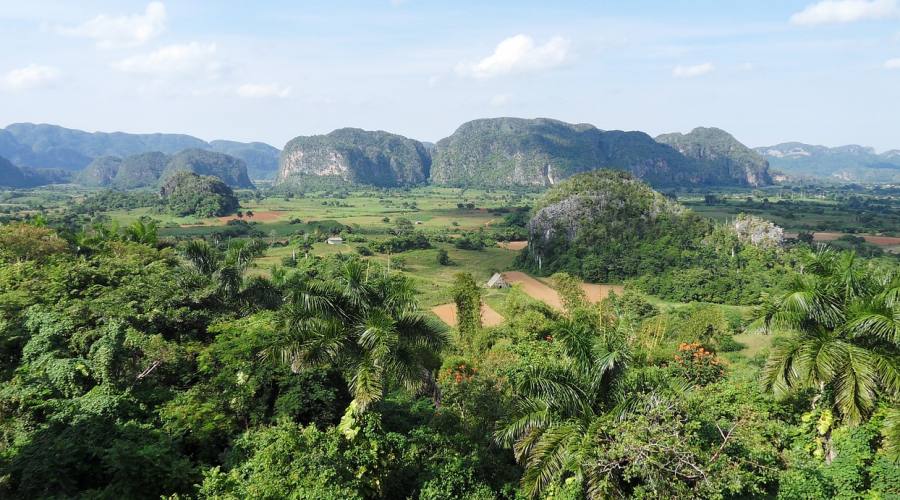 Vinales piantagioni di tabacco