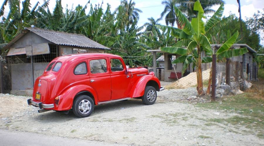 Vita campestre Cuba