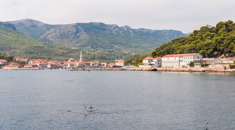 Isola di Hvar - il mare