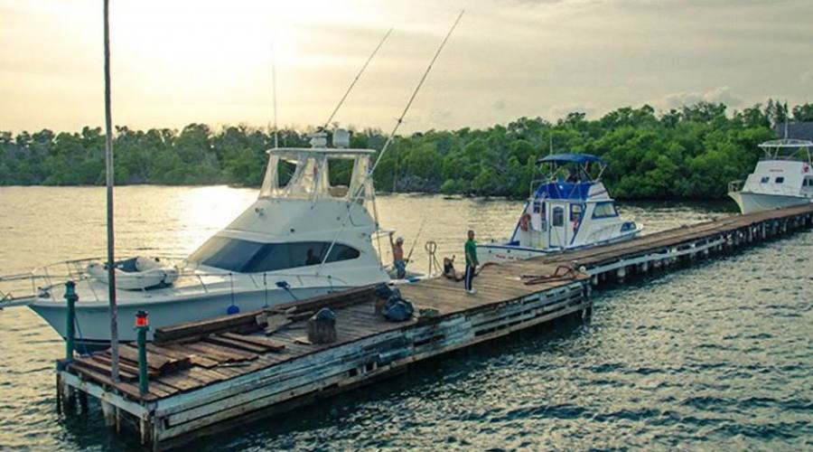 Il Molo di Cayo Levisa