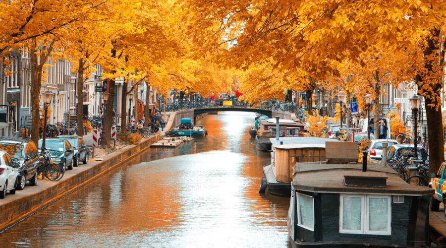 Amsterdam canale