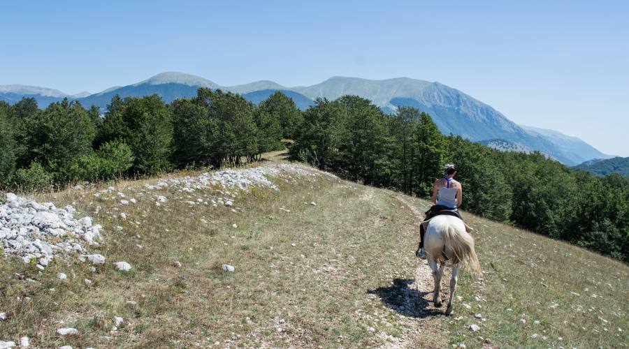 Passeggiata a cavallo