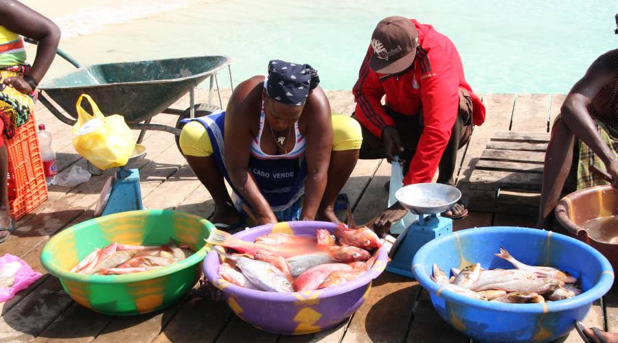 Mercato del pesce a Sal