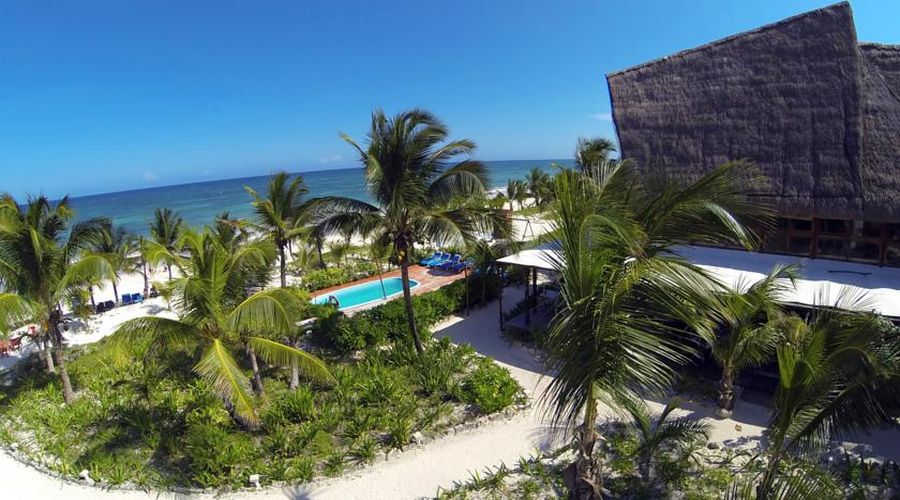 Cabañas Los Lirios: Vista Esterna