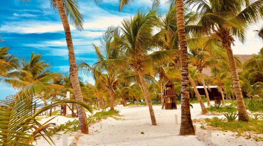 Cabañas Los Lirios: giardini interni