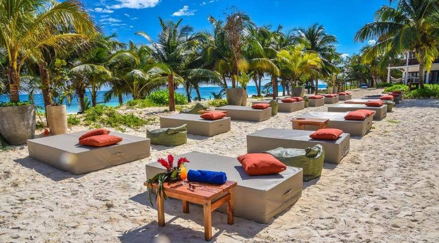 Cabañas Los Lirios: Zona Relax