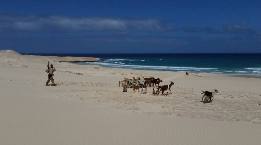 Boa Vista