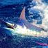 Pesca del Blu Marlin