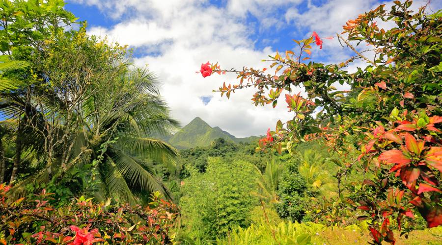 Il paesaggio tropicale di Martinica