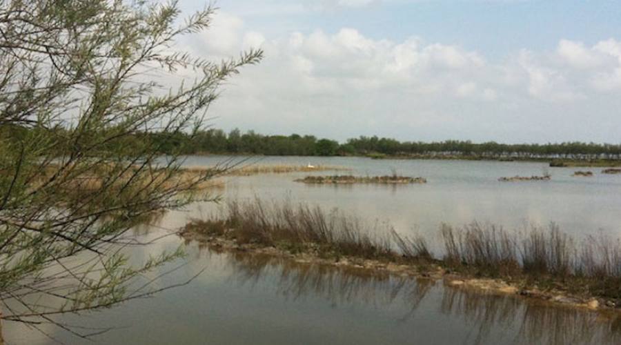 canali bibione