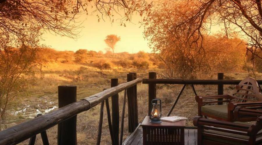 Madikwe Game Reserve