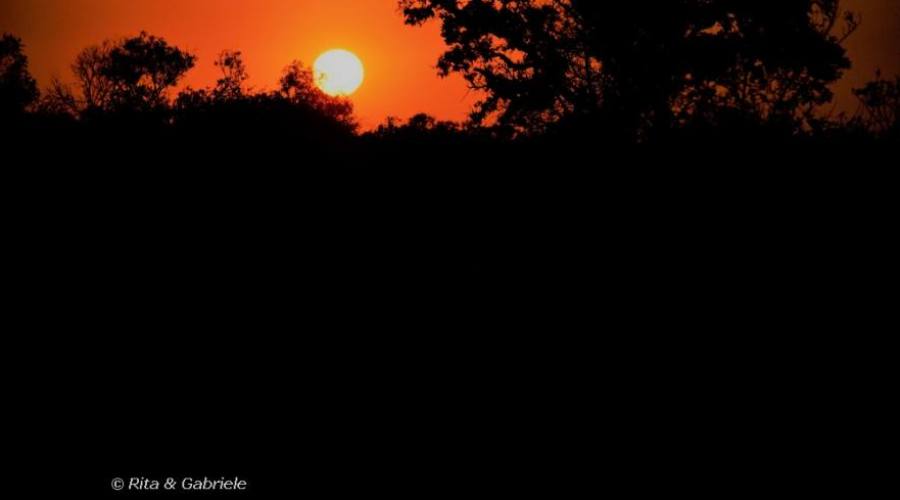 Tramonto nella savana