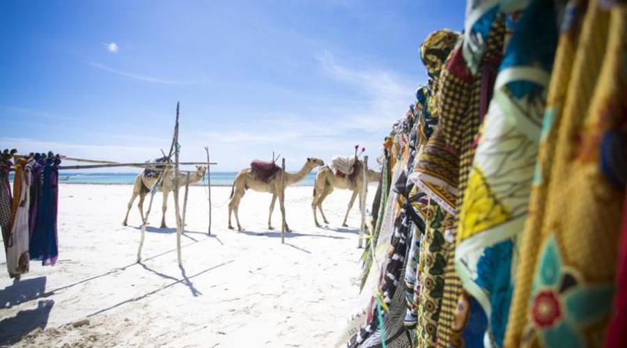 cammelli in spiaggia