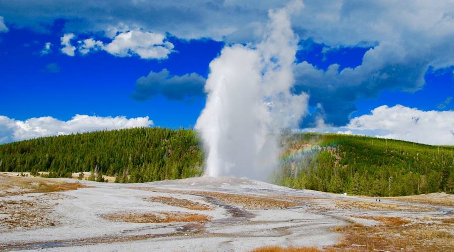 Yellowstone np