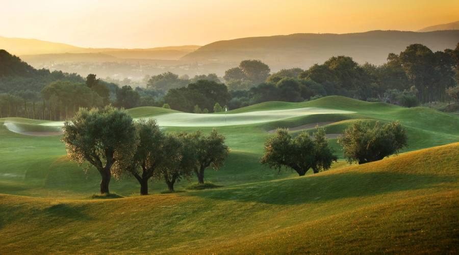 Il campo al tramonto...